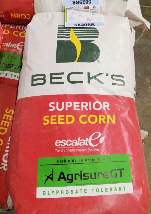 Seed Corn